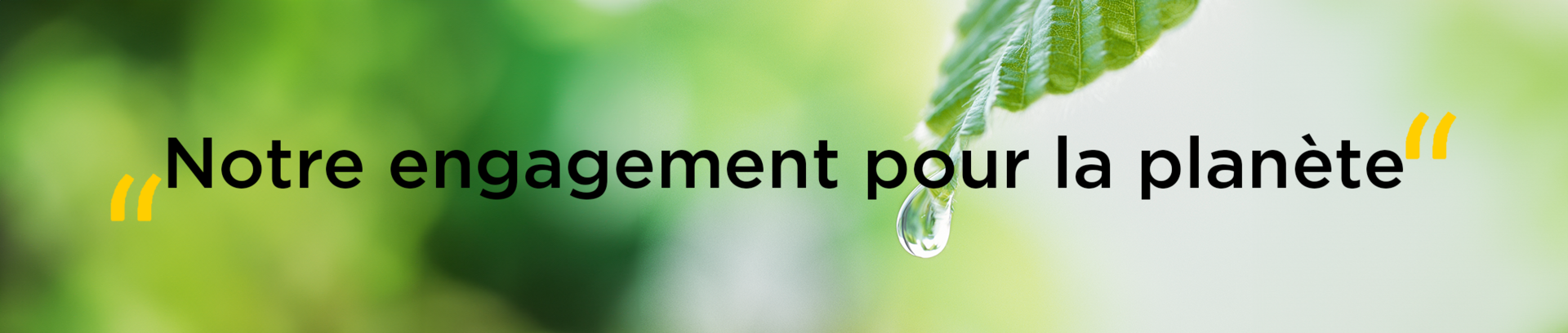 engagements