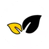 Picto écologie