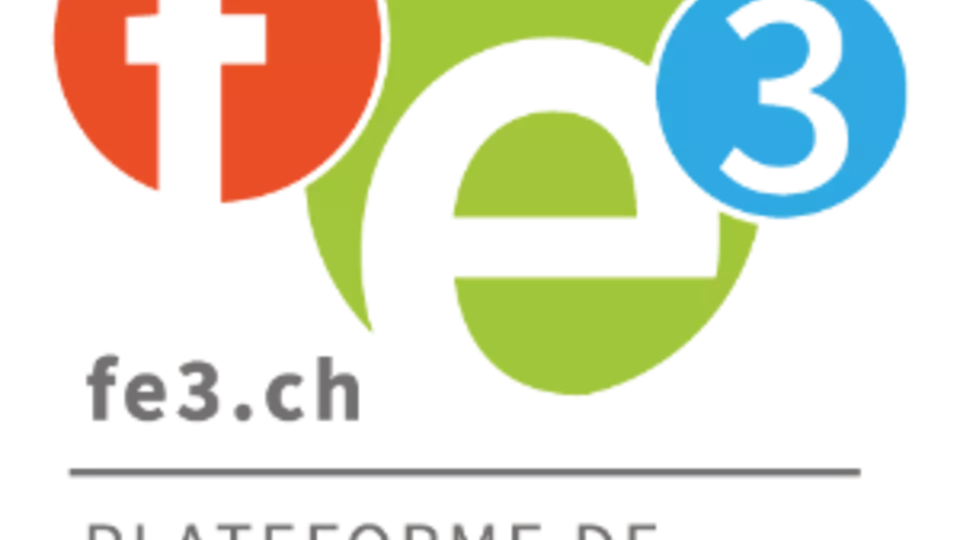 FE3