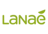 Lanaé - Liant naturel